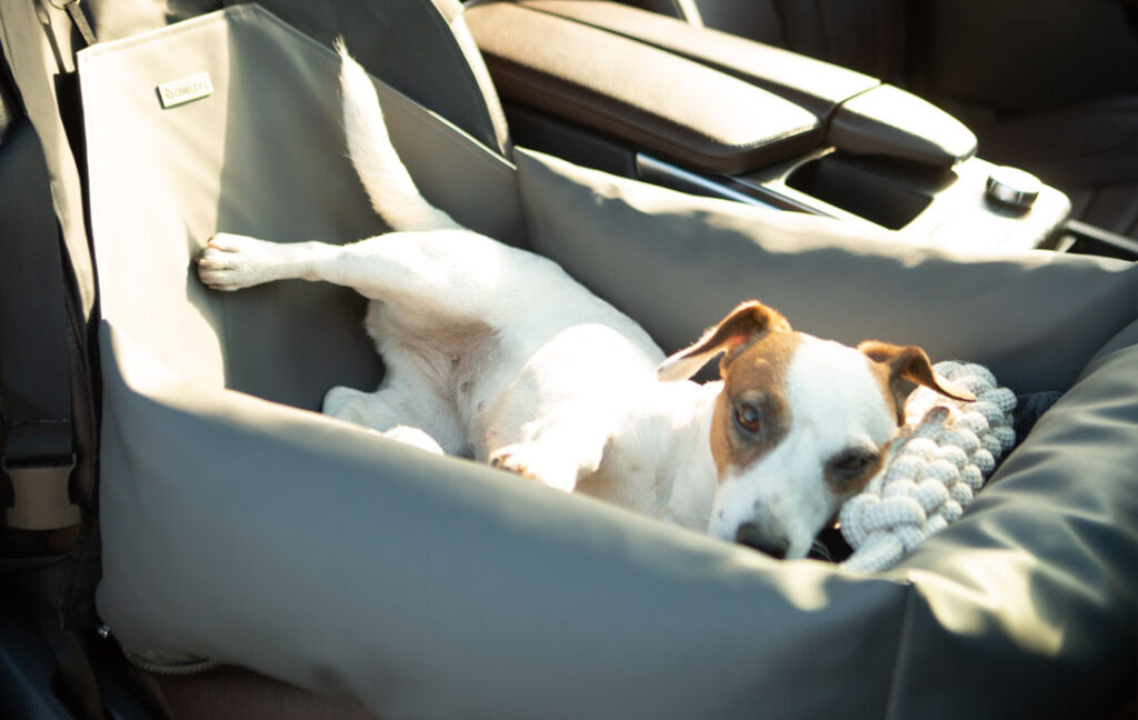 dog seat covers