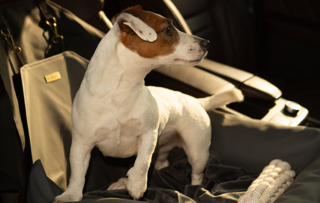 dog seat covers