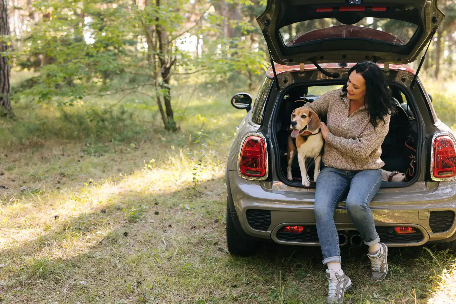 dog back seat cover for Ford Ranger