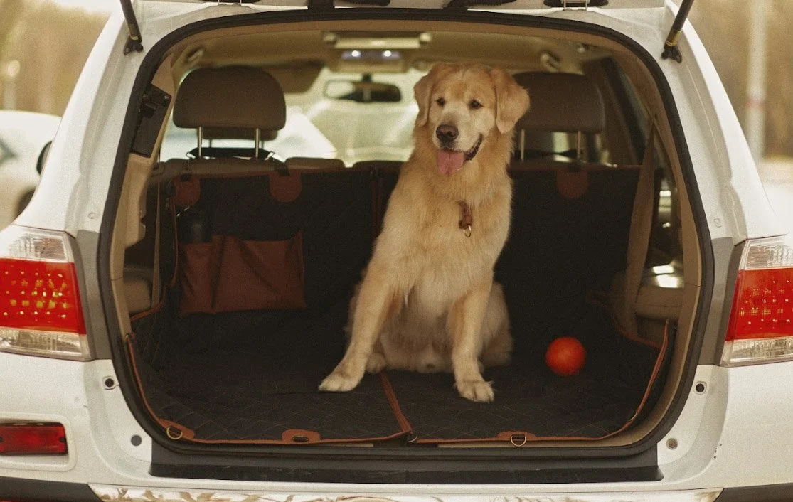 pet seat cover for Chevrolet Equinox