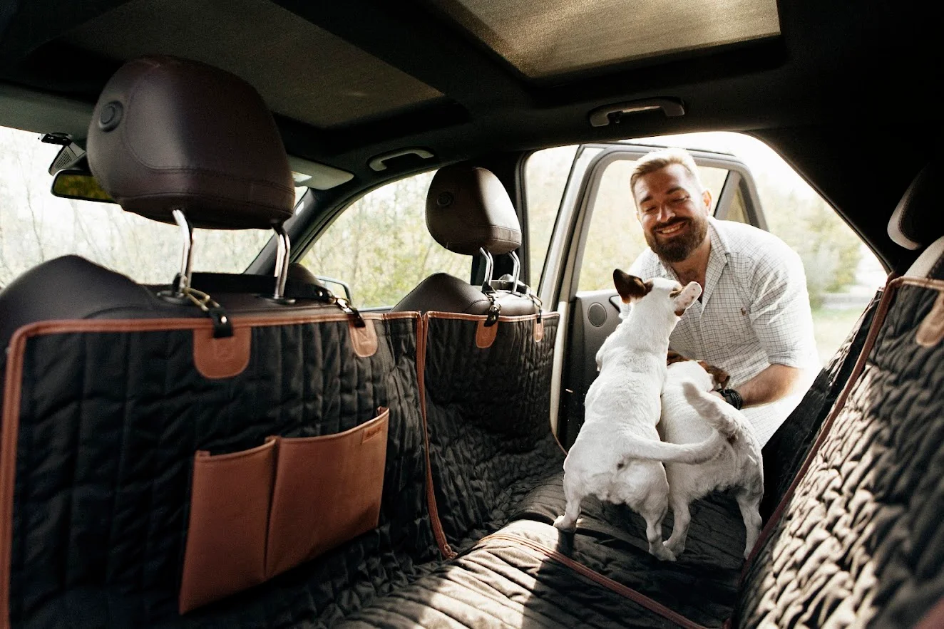 Dodge Charger back seat cover for Weimaraners