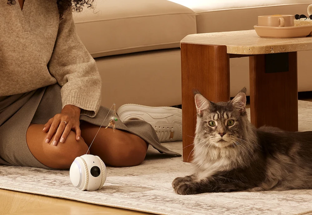 best interactive pet camera