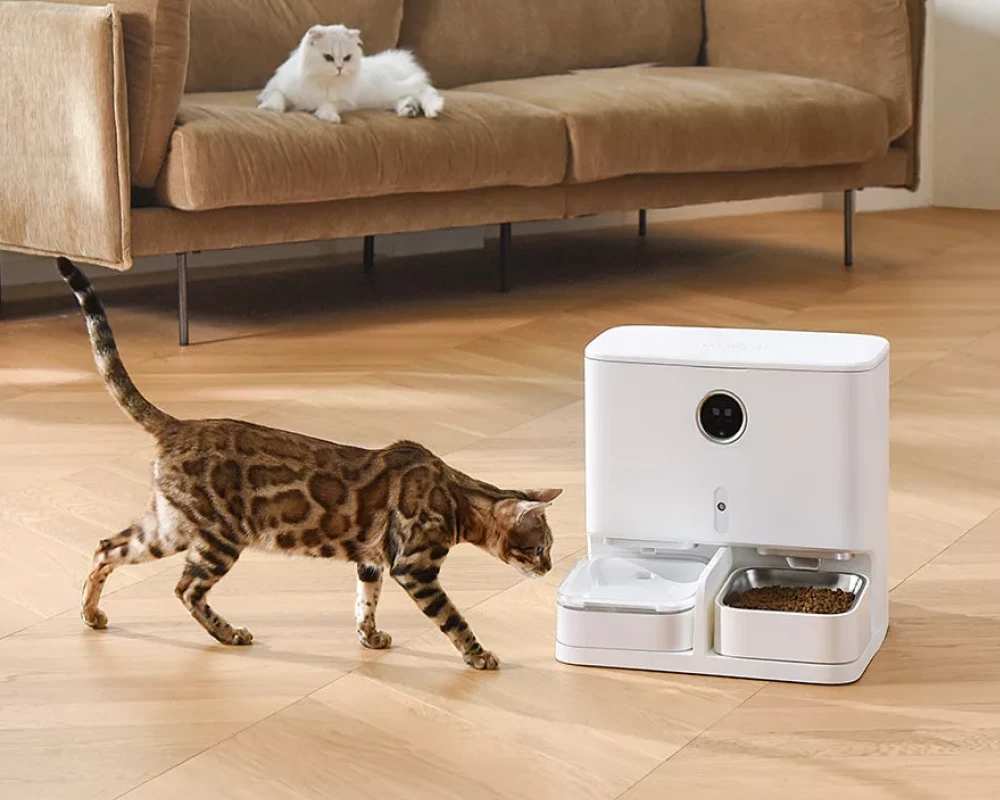 automatic small pet feeder