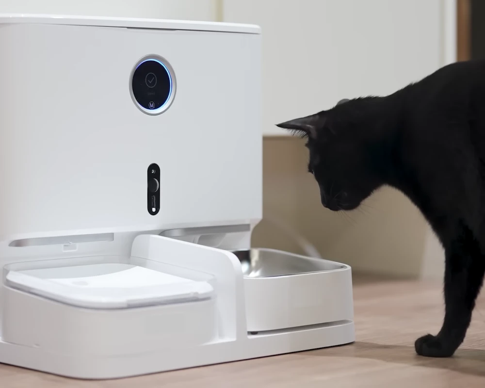 top pets automatic feeder